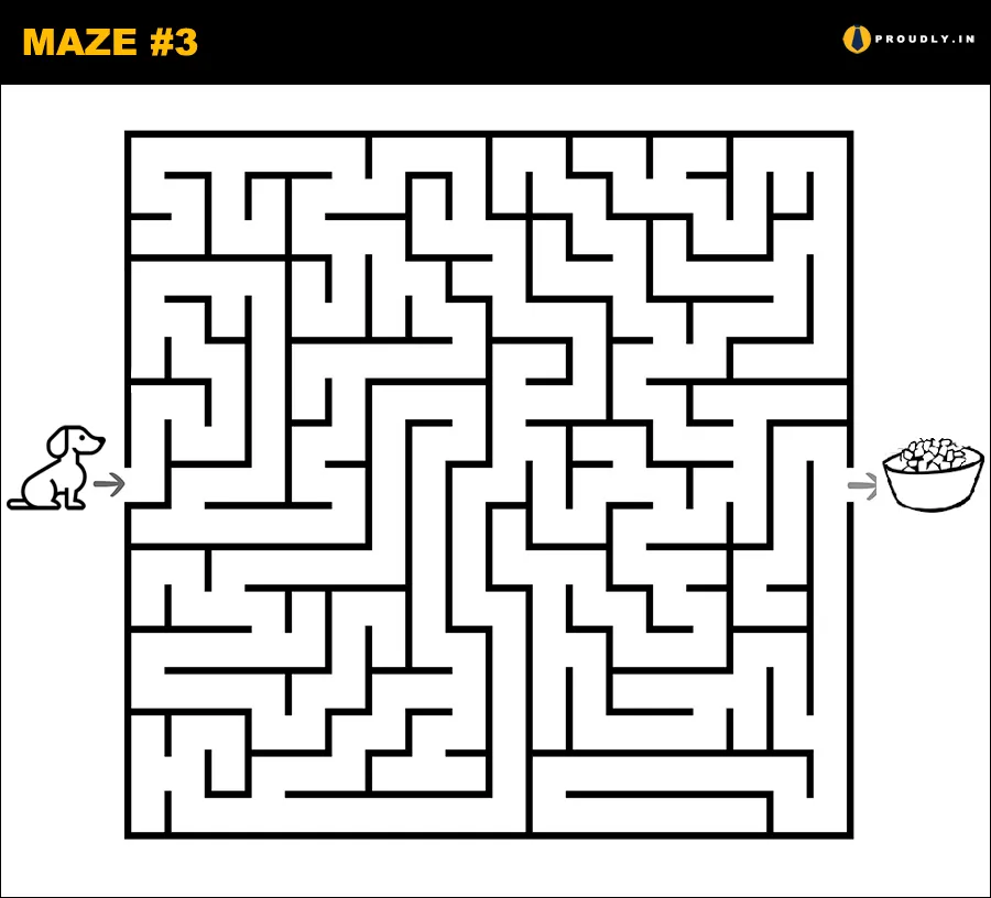 Maze Easy 3