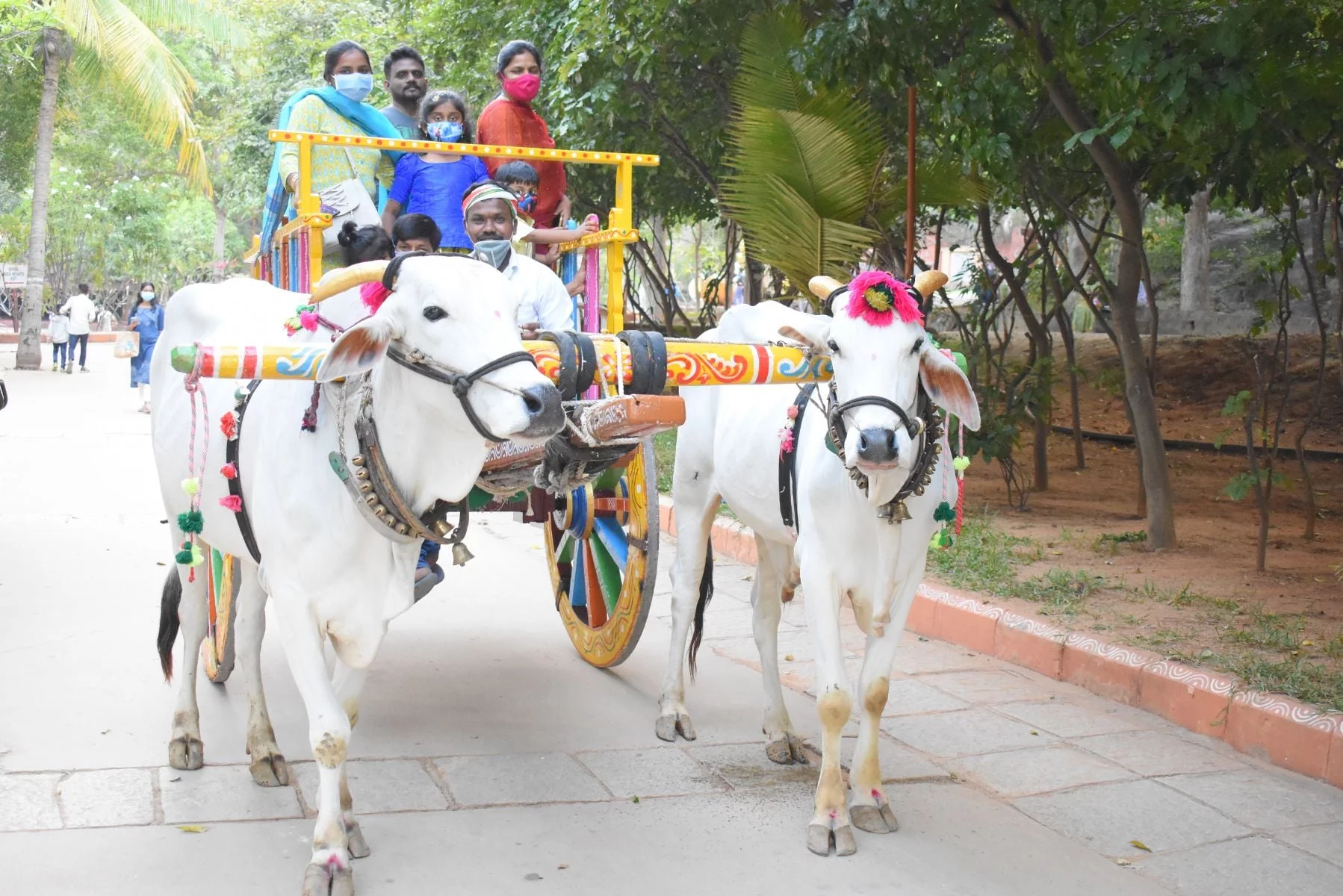 Shilparamam Bullock Cart Ride